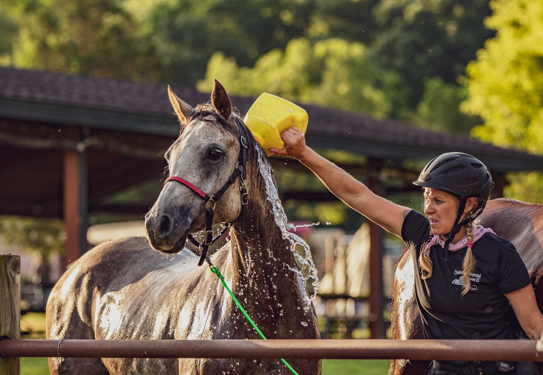 Warhorse Endurance Ride 2020 58