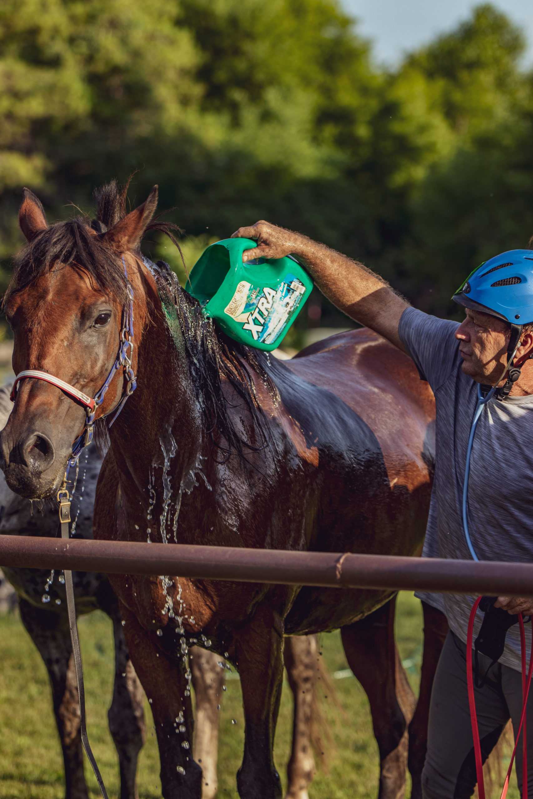 Warhorse Endurance Ride 2020 59 scaled