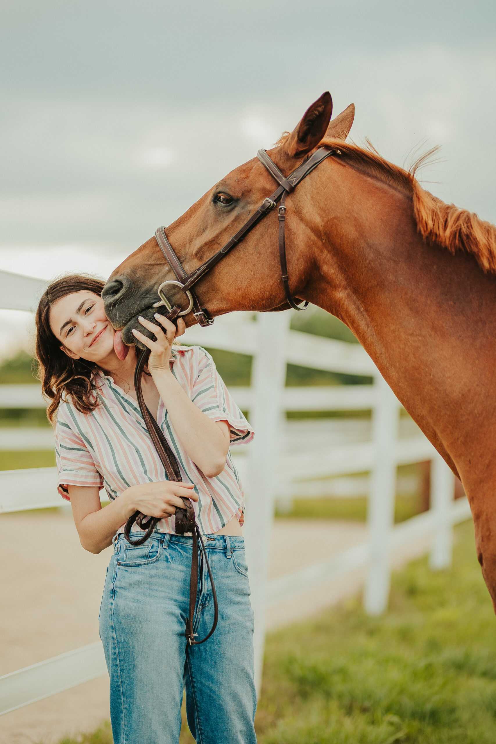 Kate Bartelt Equine 81123 44 scaled